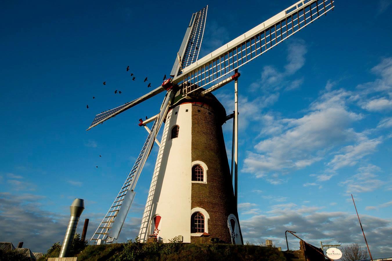 Windmolen 17